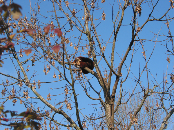 Tierpark 047