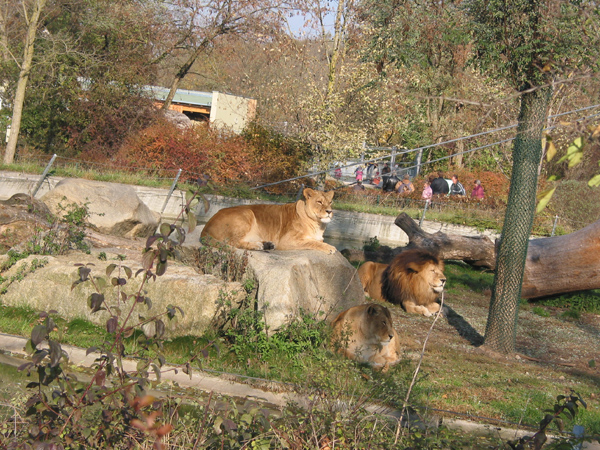 Tierpark 049