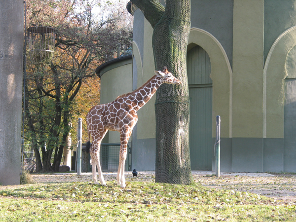 Tierpark 051