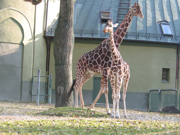 Tierpark 054